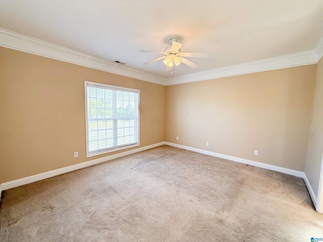 217 TWIN RIDGE CIRCLE, Lincoln, AL 35096