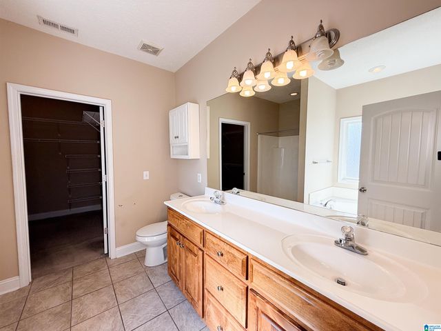 217 TWIN RIDGE CIRCLE, Lincoln, AL 35096