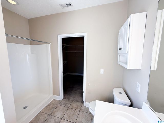 217 TWIN RIDGE CIRCLE, Lincoln, AL 35096