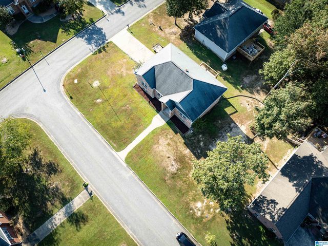 217 TWIN RIDGE CIRCLE, Lincoln, AL 35096