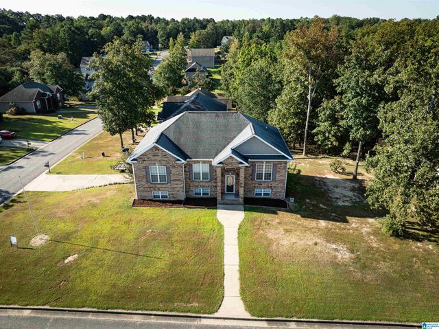 217 TWIN RIDGE CIRCLE, Lincoln, AL 35096