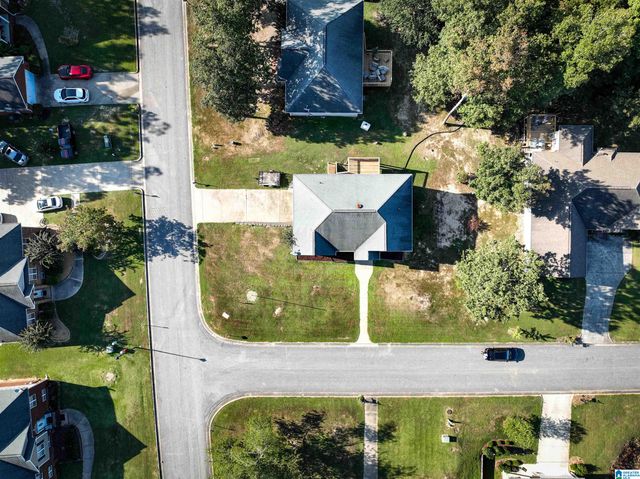 217 TWIN RIDGE CIRCLE, Lincoln, AL 35096