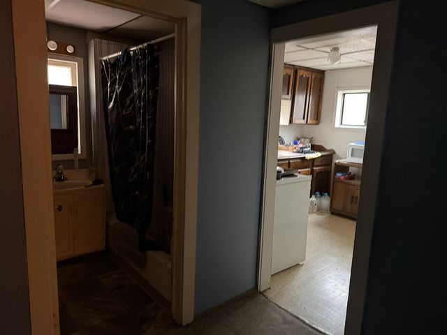 690 E Essex Drive, Idlewild, MI 49642