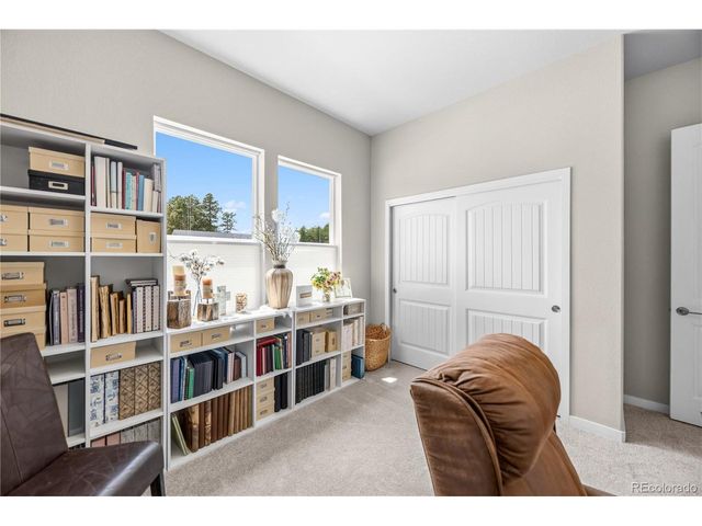 16297 Forest Cloud Way, Monument, CO 80132