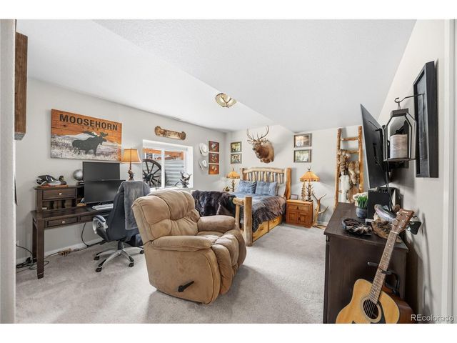 16297 Forest Cloud Way, Monument, CO 80132