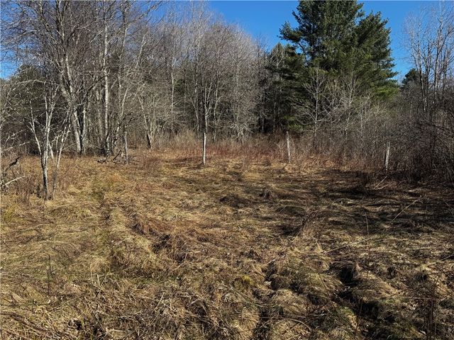 0 County Road 4, Butternuts, NY 13825