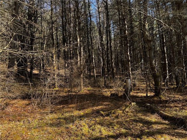 0 County Road 4, Butternuts, NY 13825