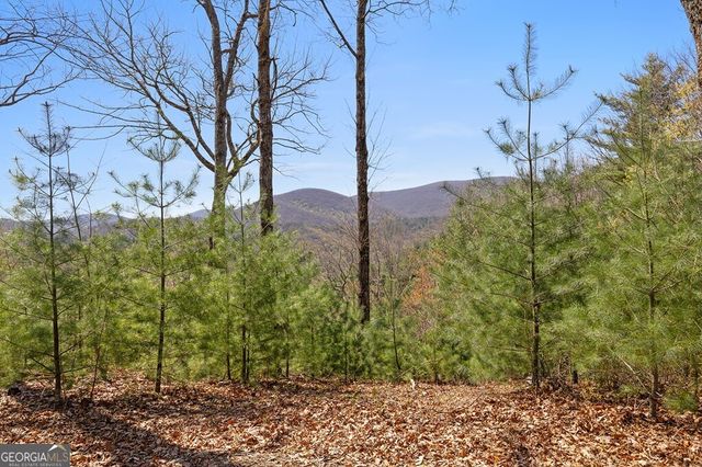 0 Big Creek Road, Ellijay, GA 30536