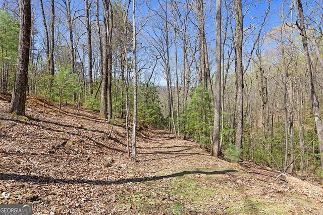 0 Big Creek Road, Ellijay, GA 30536