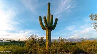 12075 E Speedway Blvd, Tucson, AZ 85748