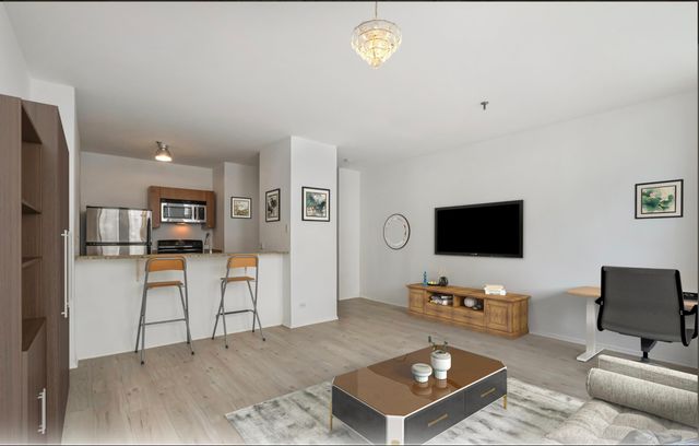 740 S Federal Street 1109, Chicago, IL 60605