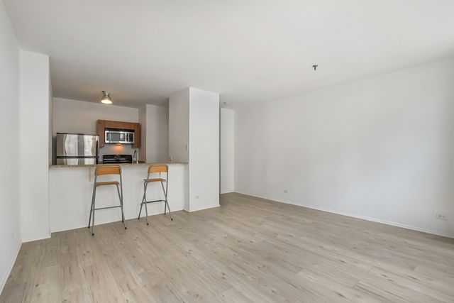 740 S Federal Street 1109, Chicago, IL 60605