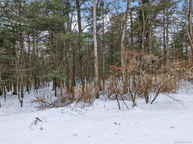 157 Old Forestburg Road, Sparrowbush, NY 12780