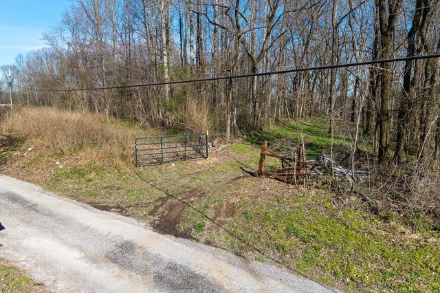 7860 Aunt Helen Rd, Silver Point, TN 38582