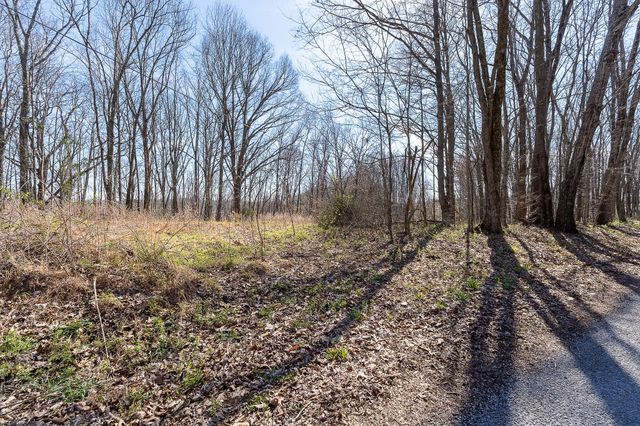 7860 Aunt Helen Rd, Silver Point, TN 38582