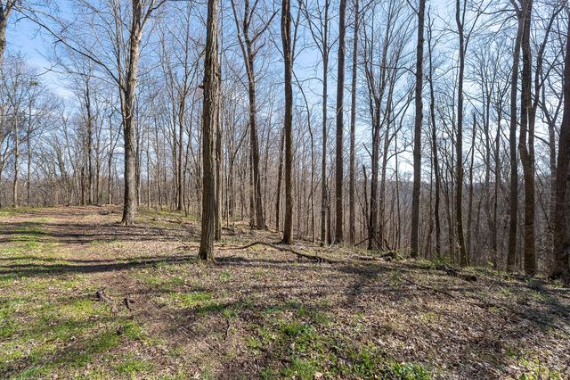 7860 Aunt Helen Rd, Silver Point, TN 38582