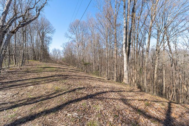 7860 Aunt Helen Rd, Silver Point, TN 38582