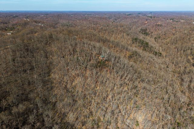 7860 Aunt Helen Rd, Silver Point, TN 38582