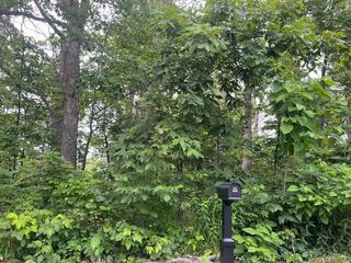 7224 W 129th Avenue, Cedar Lake, IN 46303