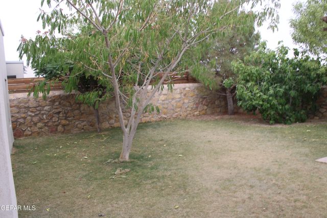 12300 HARTLEPOOL Drive, Horizon City, TX 79928