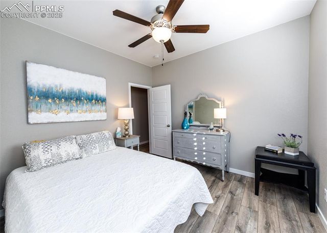 1909 Medici Lane, Colorado Springs, CO 80921