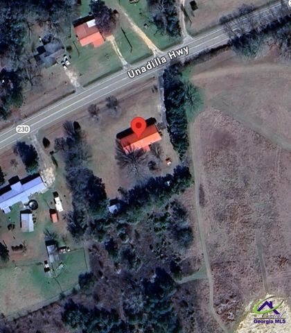 435 Unadilla Highway, Hawkinsville, GA 31036