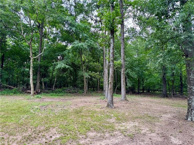 411 Frank Senko Road, Griffithville, AR 72060