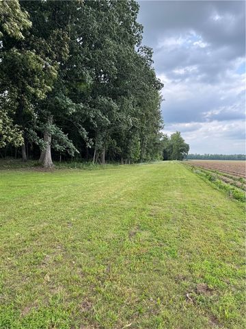411 Frank Senko Road, Griffithville, AR 72060