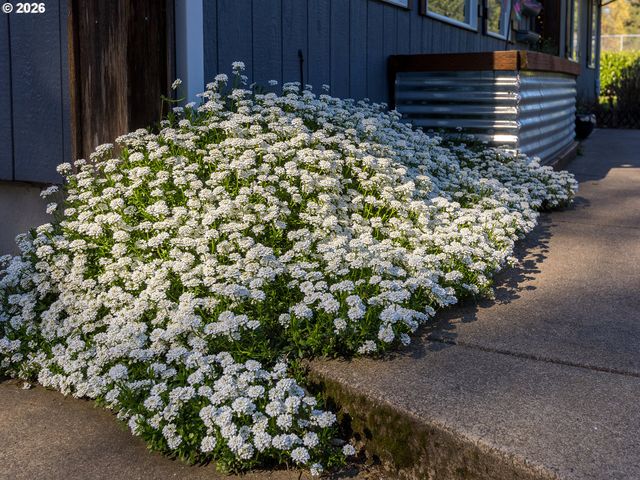 111 LAUREL Ln, Washougal, WA 98671