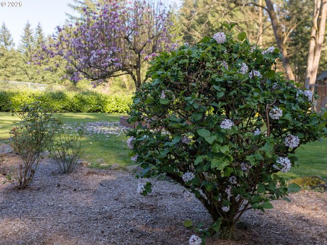 111 LAUREL Ln, Washougal, WA 98671