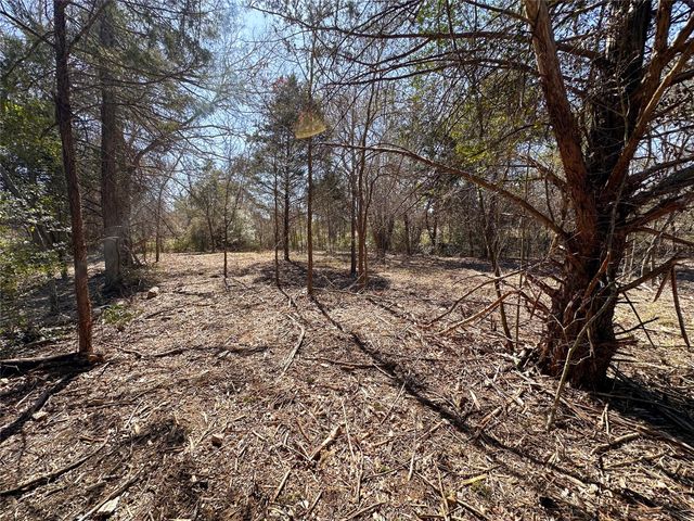 TBD Green Valley DR, Bastrop, TX 78602