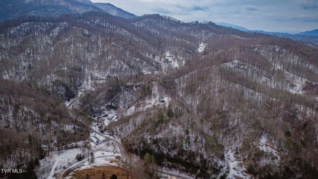 220 Whitehead Hollow Road, Roan Mountain, TN 37687