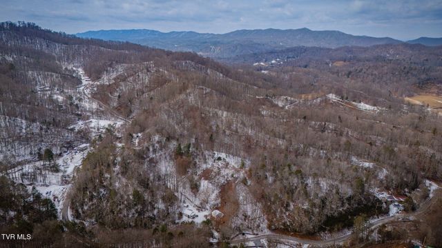 220 Whitehead Hollow Road, Roan Mountain, TN 37687