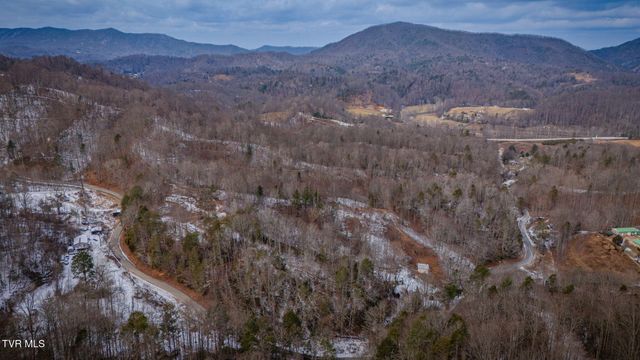 220 Whitehead Hollow Road, Roan Mountain, TN 37687