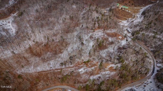 220 Whitehead Hollow Road, Roan Mountain, TN 37687