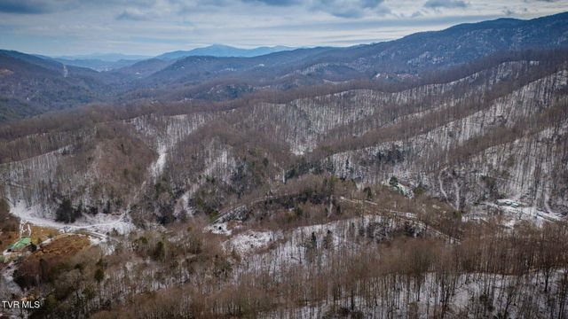 220 Whitehead Hollow Road, Roan Mountain, TN 37687