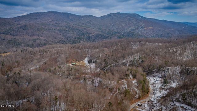 220 Whitehead Hollow Road, Roan Mountain, TN 37687