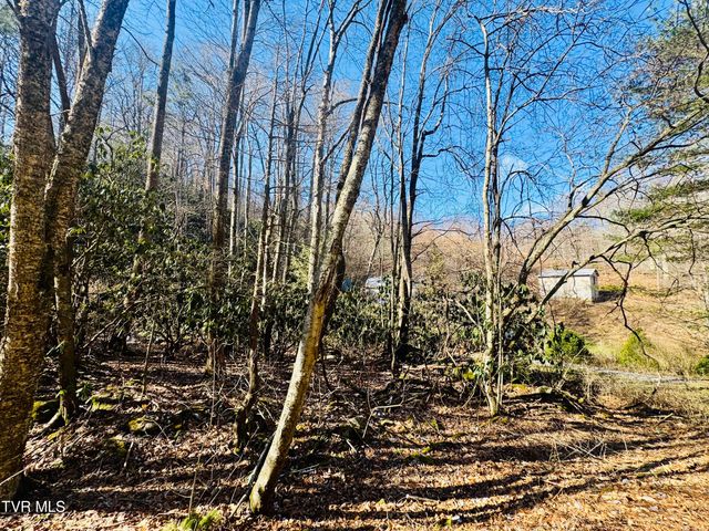 220 Whitehead Hollow Road, Roan Mountain, TN 37687