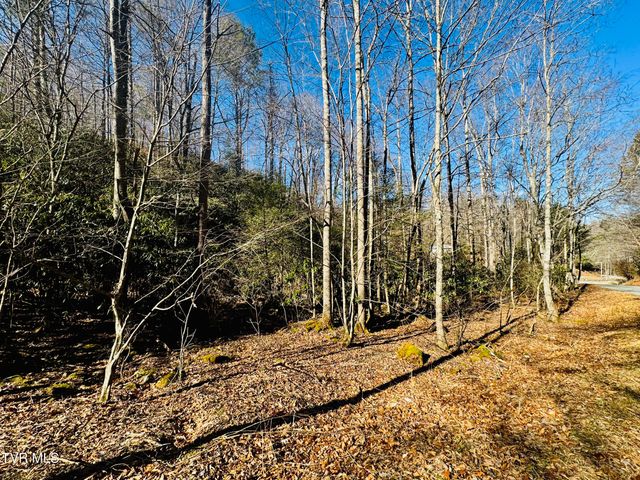 220 Whitehead Hollow Road, Roan Mountain, TN 37687