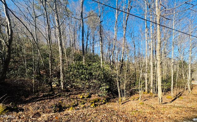 220 Whitehead Hollow Road, Roan Mountain, TN 37687