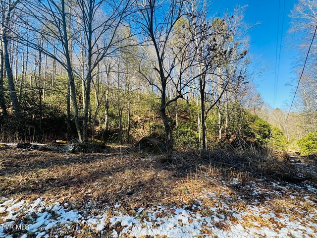 220 Whitehead Hollow Road, Roan Mountain, TN 37687