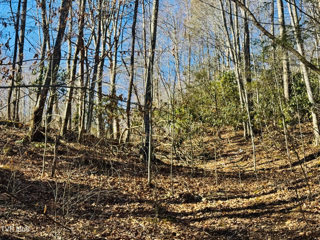 220 Whitehead Hollow Road, Roan Mountain, TN 37687