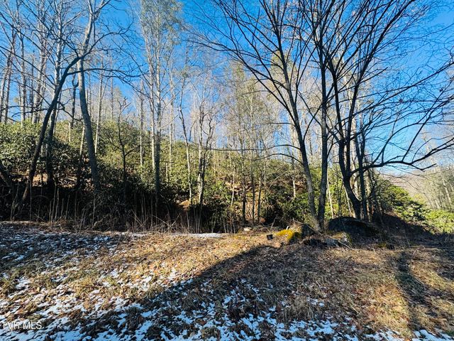 220 Whitehead Hollow Road, Roan Mountain, TN 37687