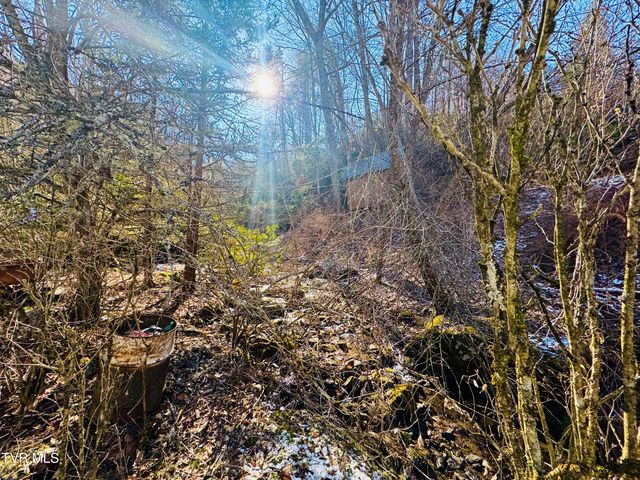 220 Whitehead Hollow Road, Roan Mountain, TN 37687