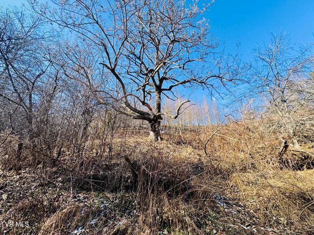 220 Whitehead Hollow Road, Roan Mountain, TN 37687