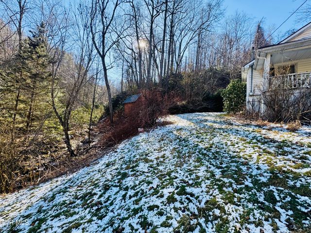 220 Whitehead Hollow Road, Roan Mountain, TN 37687