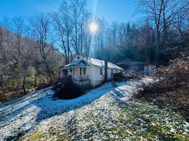 220 Whitehead Hollow Road, Roan Mountain, TN 37687