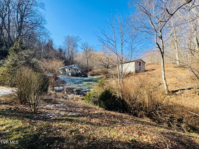 220 Whitehead Hollow Road, Roan Mountain, TN 37687