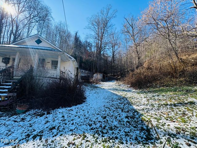 220 Whitehead Hollow Road, Roan Mountain, TN 37687