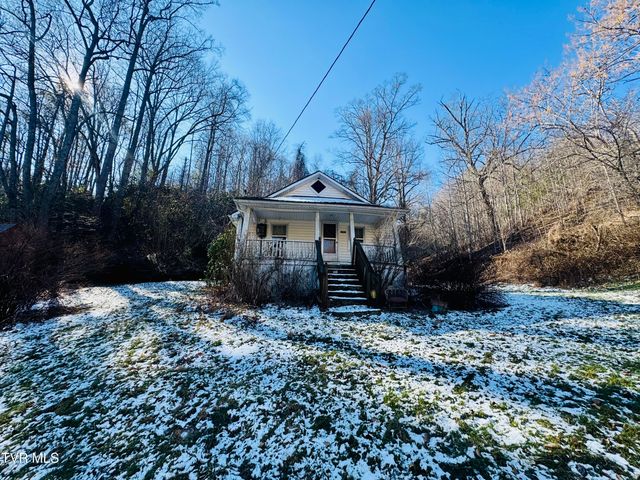 220 Whitehead Hollow Road, Roan Mountain, TN 37687